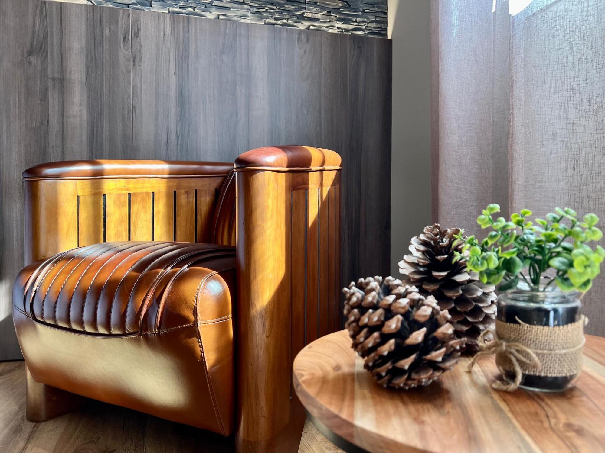 Cocoon Inn Cucq Zewnętrze zdjęcie